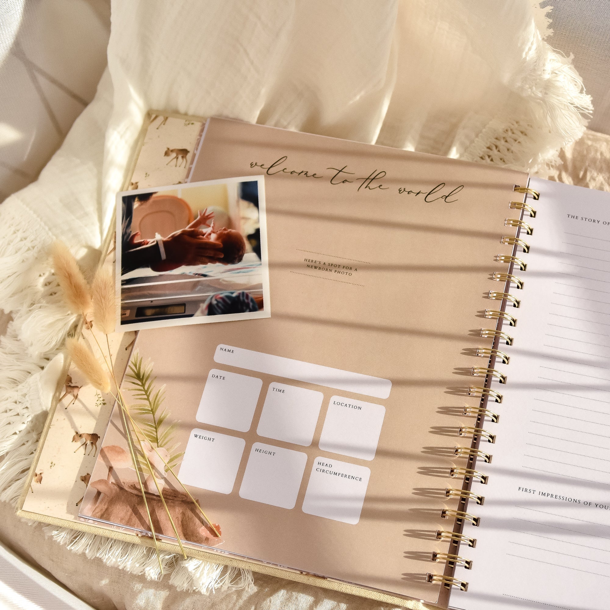 Forest - Baby Memory Book - Peachly USA