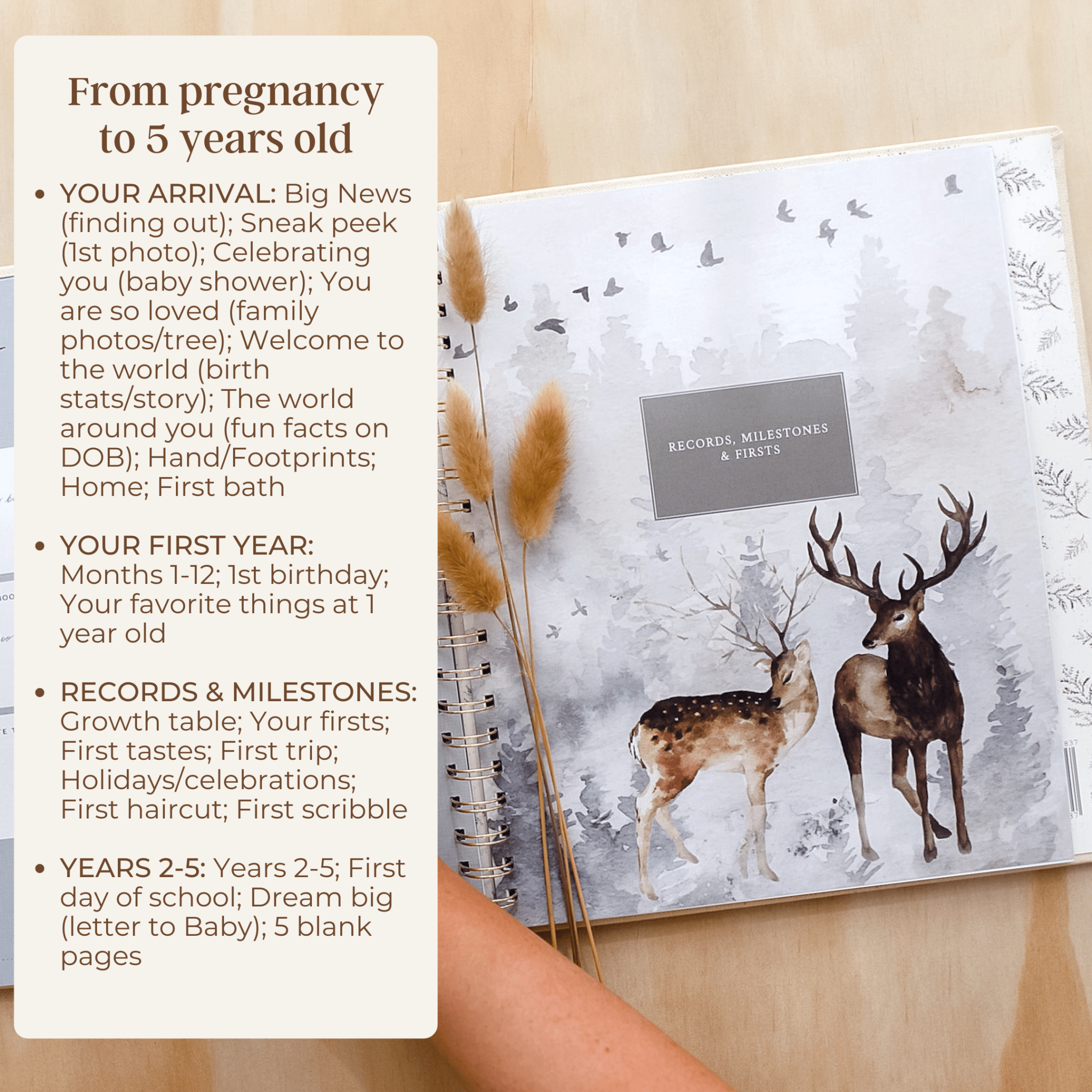 Wild - Baby Memory Book - Peachly USA